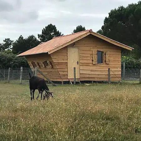 Gite - La Ferme A La Plage เลอปอร์จ ภายนอก รูปภาพ