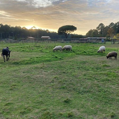 Gite - La Ferme A La Plage เลอปอร์จ ภายนอก รูปภาพ