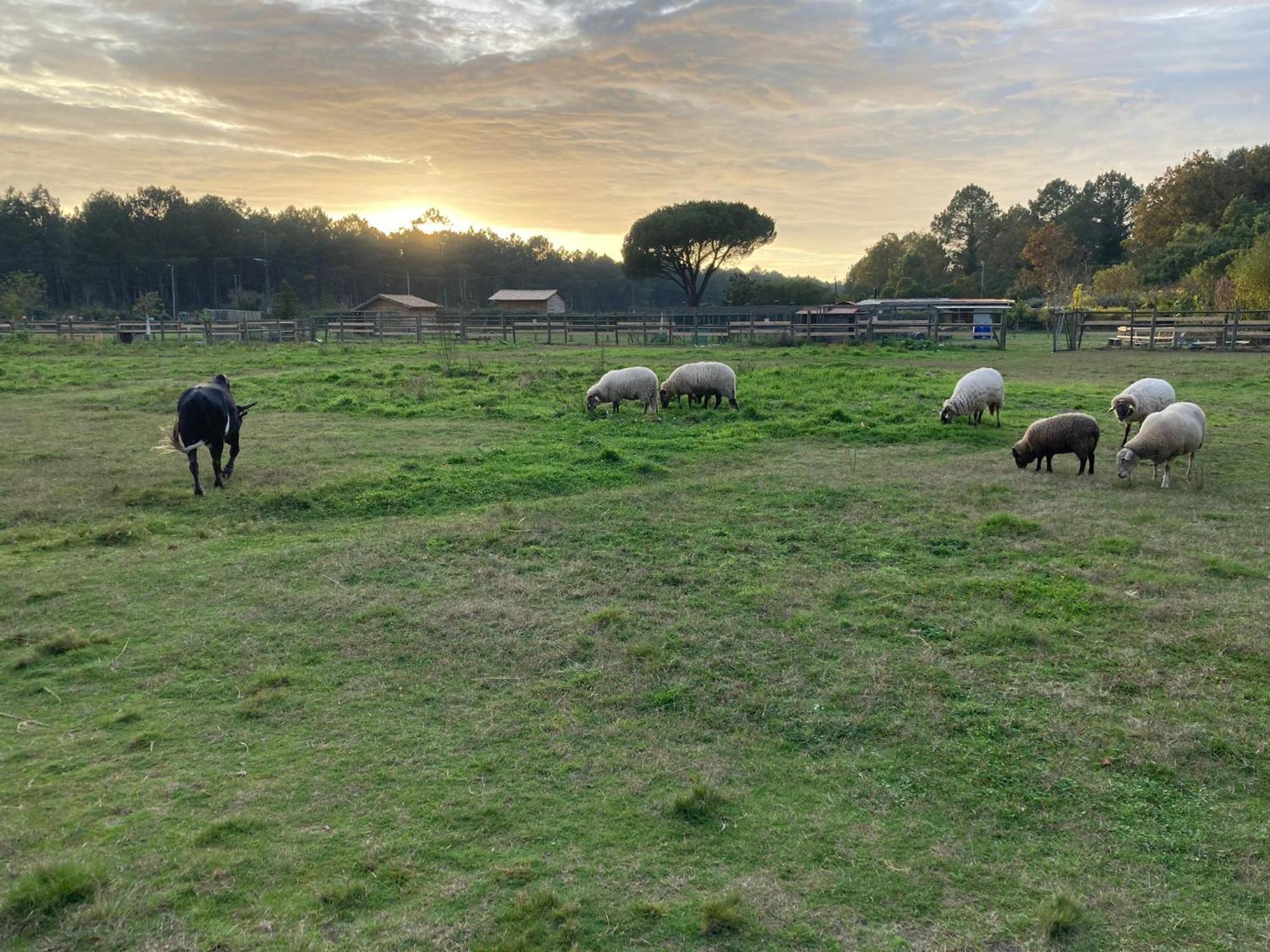 Gite - La Ferme A La Plage เลอปอร์จ ภายนอก รูปภาพ